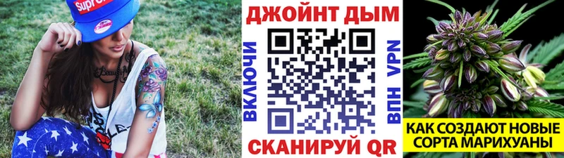 Купить наркотики сайты Дорогобуж МАРИХУАНА COCAIN МЕФ