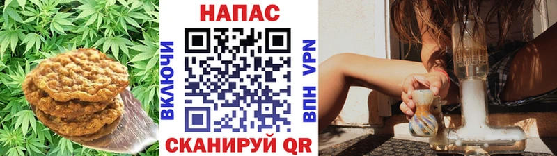 как найти   Дорогобуж  ссылка на мегу ссылка  Cannafood марихуана 