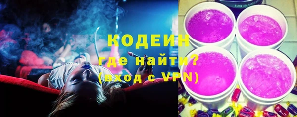 гашик Семилуки