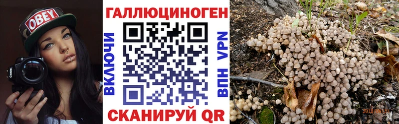Псилоцибиновые грибы прущие грибы  Дорогобуж 